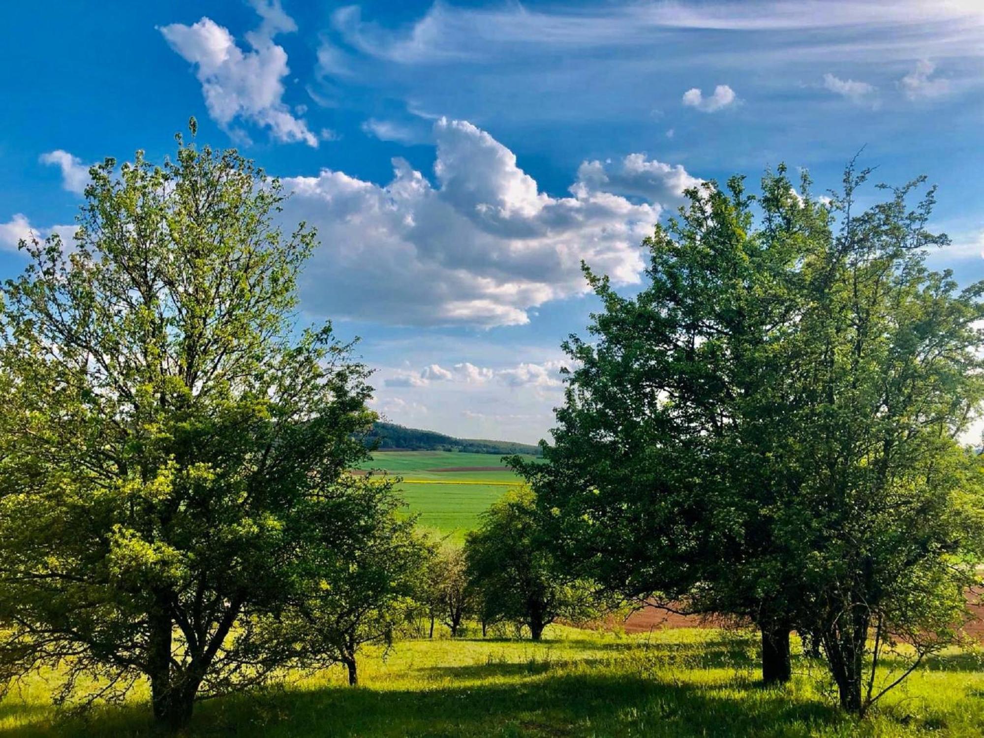 Ferienwohnungen Goja Бад-Кёнигсхофен-им-Грабфельд Экстерьер фото